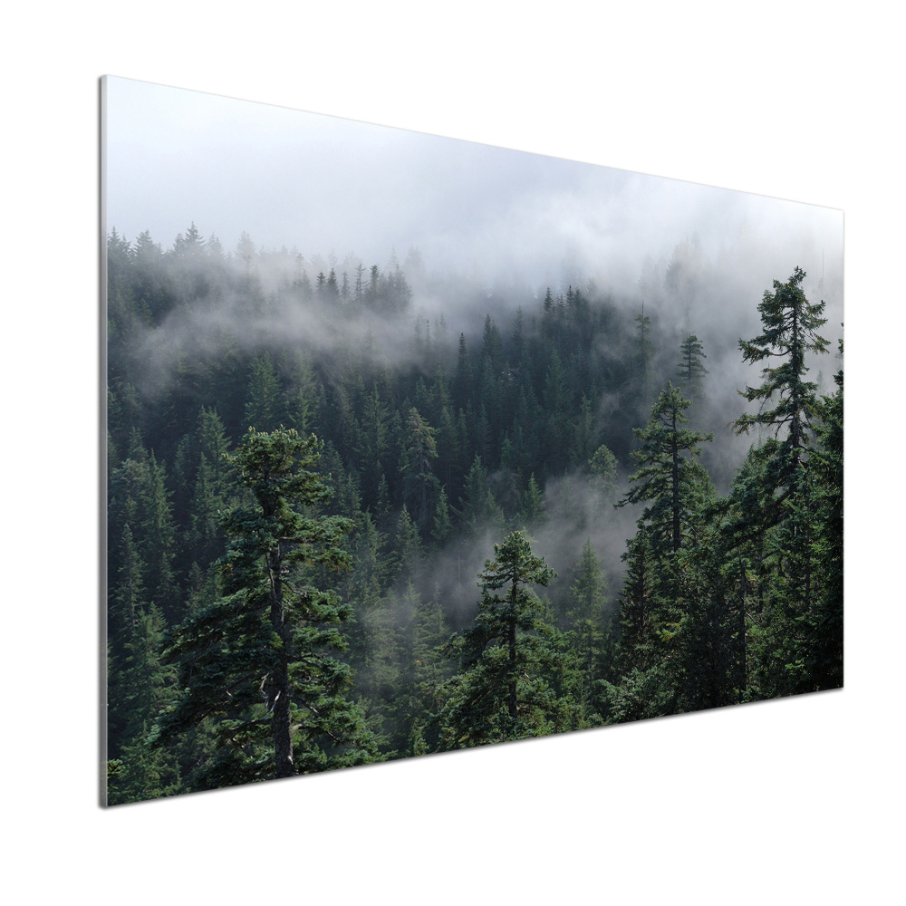 Panel dekor szkło Leśna mgła