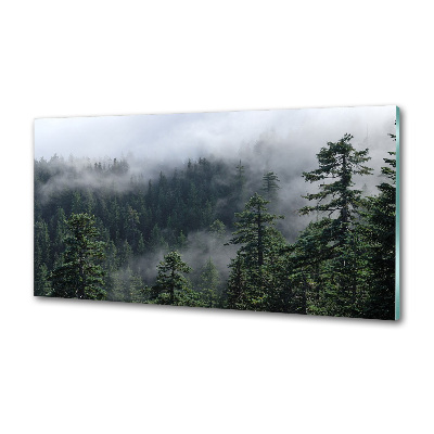 Panel dekor szkło Leśna mgła