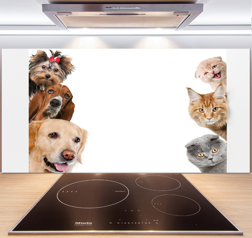 Panel dekor szkło Psy i koty
