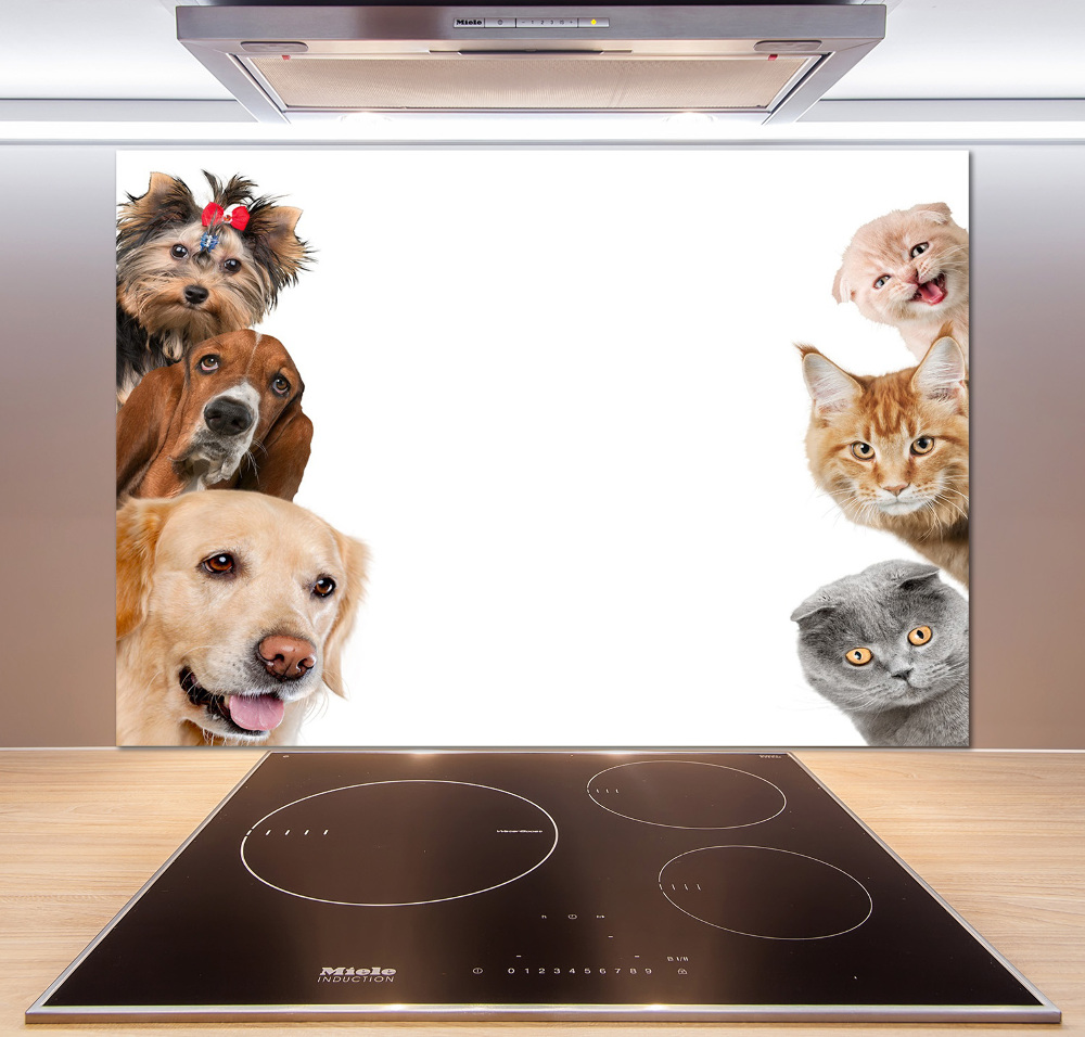 Panel dekor szkło Psy i koty