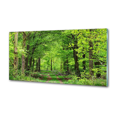 Panel dekor szkło Wiosenny las