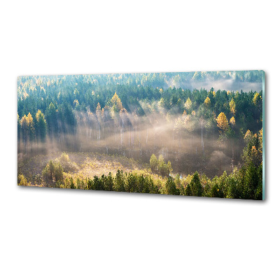 Panel dekor szkło Mgła w lesie