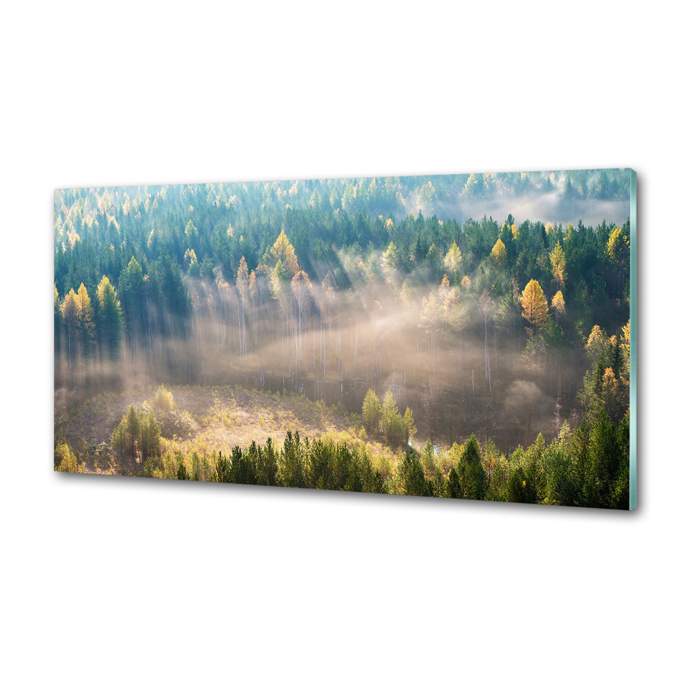 Panel dekor szkło Mgła w lesie
