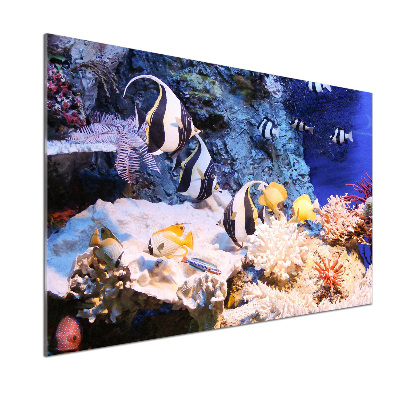 Panel dekoracyjny Rafa koralowa