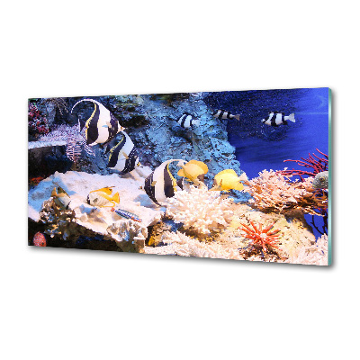 Panel dekoracyjny Rafa koralowa