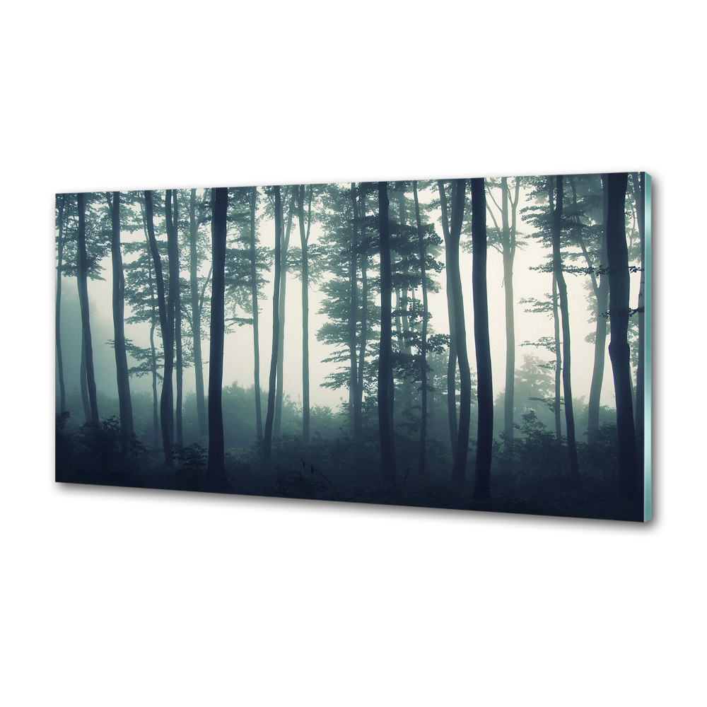Panel dekor szkło Las we mgle