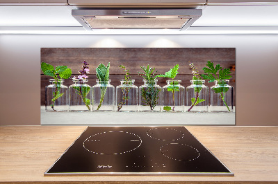 Panel do kuchni Rośliny w słoikach