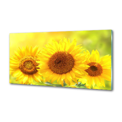 Panel dekor szkło Słoneczniki