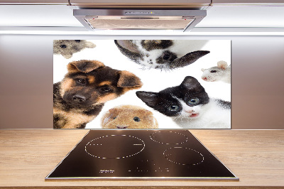 Panel do kuchni Zwierzęta domowe