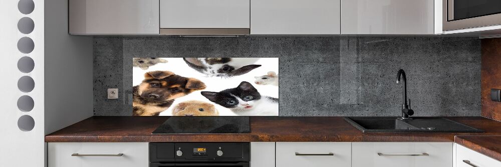 Panel do kuchni Zwierzęta domowe