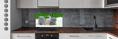 Panel do kuchni Trzy koty na kocu