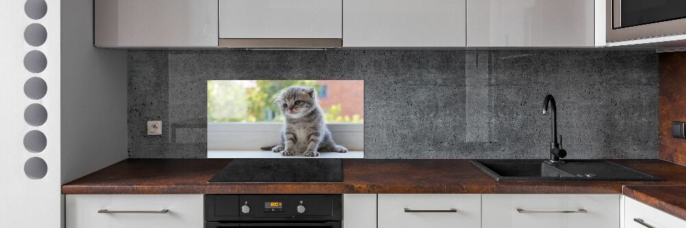 Panel lacobel Mały kot przy oknie