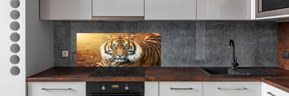 Panel do kuchni Tygrys bengalski