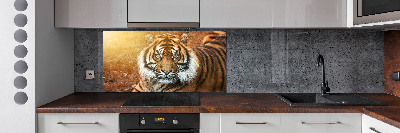 Panel do kuchni Tygrys bengalski