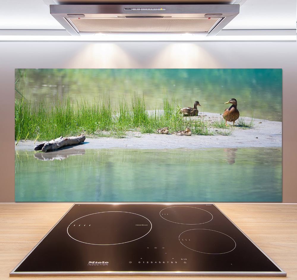 Panel do kuchni Kaczki nad wodą