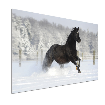 Panel lacobel Koń w galopie śnieg