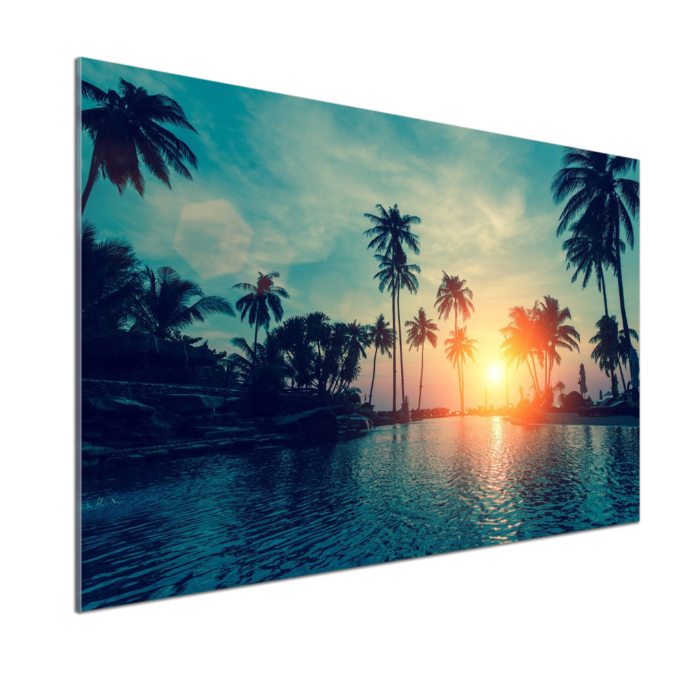 Panel lacobel Zachód słońca palmy