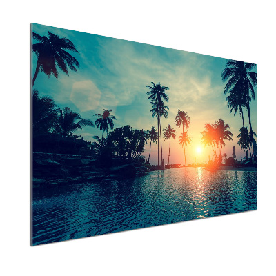 Panel lacobel Zachód słońca palmy