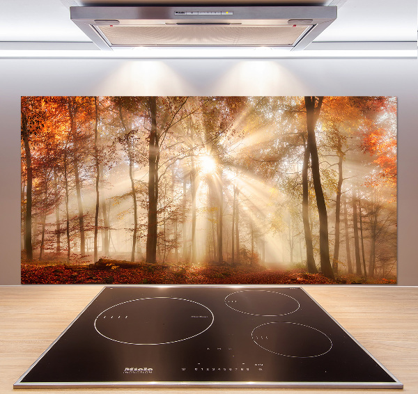 Panel lacobel Mgła w lesie jesień