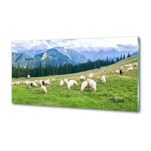 Panel do kuchni Owce w Tatrach