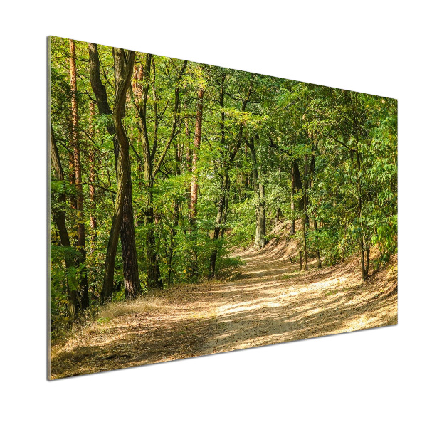 Panel do kuchni Leśna ścieżka
