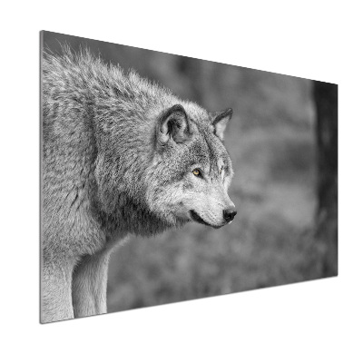 Panel dekor szkło Szary wilk