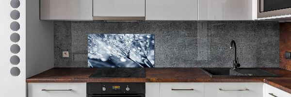 Panel do kuchni Nasiona dmuchawca