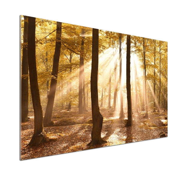 Panel dekor szkło Las jesienią