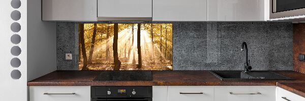 Panel dekor szkło Las jesienią