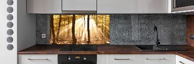 Panel dekor szkło Las jesienią