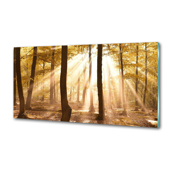 Panel dekor szkło Las jesienią