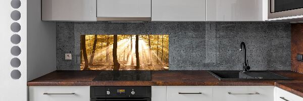 Panel dekor szkło Las jesienią
