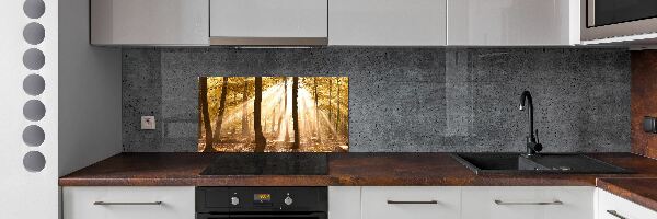 Panel dekor szkło Las jesienią