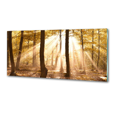 Panel dekor szkło Las jesienią