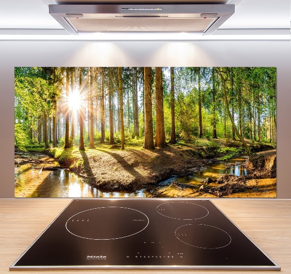Panel dekor szkło Panorama las