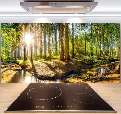 Panel dekor szkło Panorama las