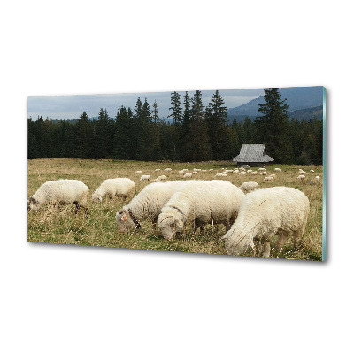 Panel do kuchni Pasące się owce