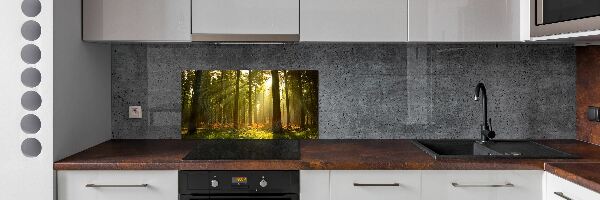 Panel dekor szkło Las w słońcu