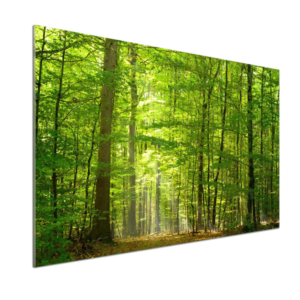 Panel do kuchni Liściasty las