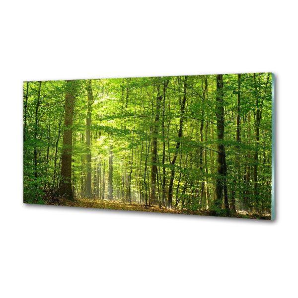 Panel do kuchni Liściasty las