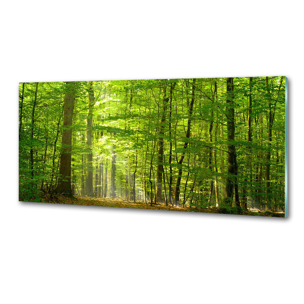 Panel do kuchni Liściasty las