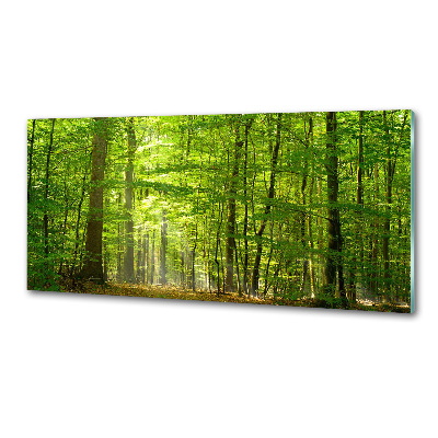 Panel do kuchni Liściasty las