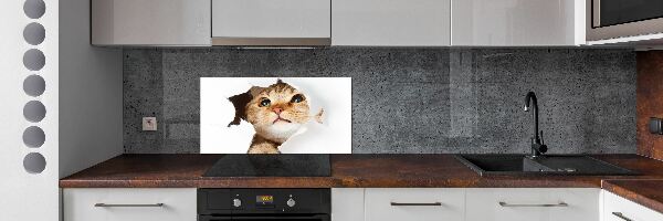 Panel do kuchni Kot w dziurze