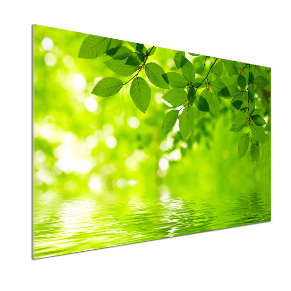 Panel do kuchni Zielone liście