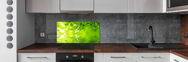 Panel do kuchni Zielone liście