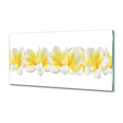 Panel między meble w kuchni Plumeria