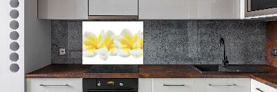 Panel między meble w kuchni Plumeria