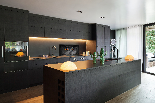 Panel lacobel Diabelskie oczy sowy