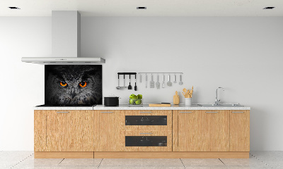 Panel lacobel Diabelskie oczy sowy