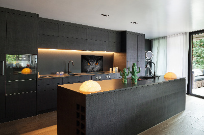 Panel lacobel Diabelskie oczy sowy